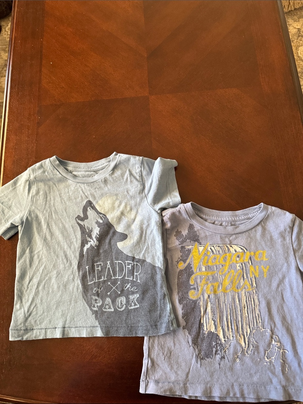 Peek Light Blue Graphic Tee with Wolf Print